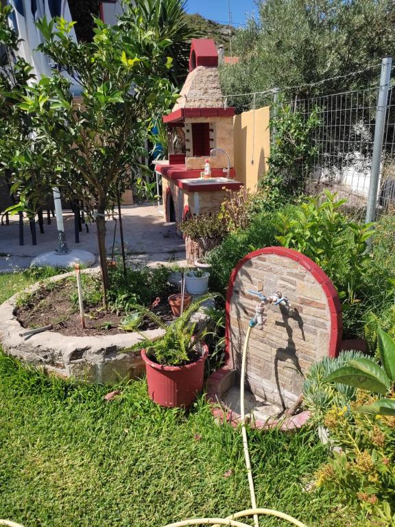Garden barbecue area with citrus trees
